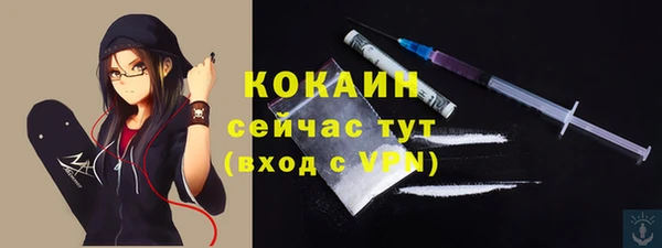 apvp Верея