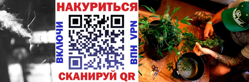 Марихуана семена Купить где Кузнецк